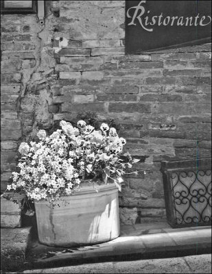 Curbside, Tuscany trial.jpg