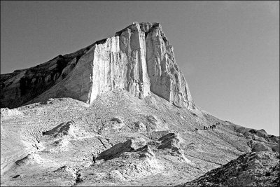 ManleyBeacon- back  side mono.jpg