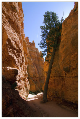 Bryce Canyon NP