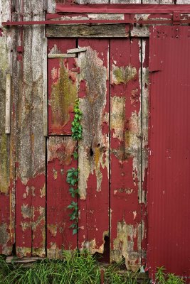 Doni's Barn Door