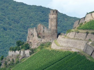 123 Burg Ehrenfels.jpg