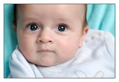 Noah - 31 décembre 2008