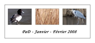 PaD Janvier - Fvrier 2008