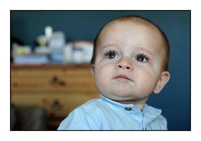 20090815d700_163.jpg