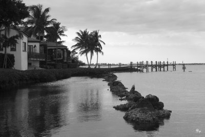 February 7, 2009 - Paradise
