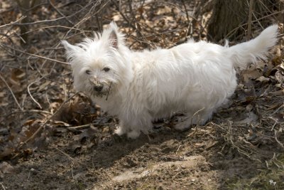 What? Digging? No, why would you think that?