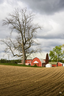 May 20, 2008 - Farm in spring