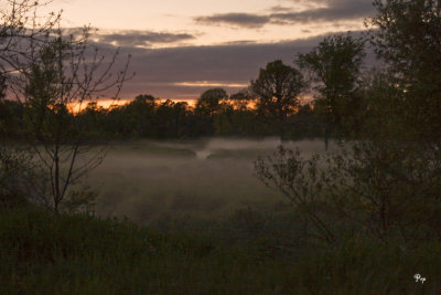 Foggy sunset - May 23, 2008 