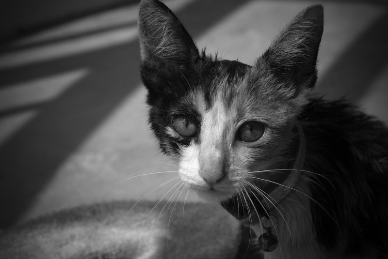 I will not forget the torment