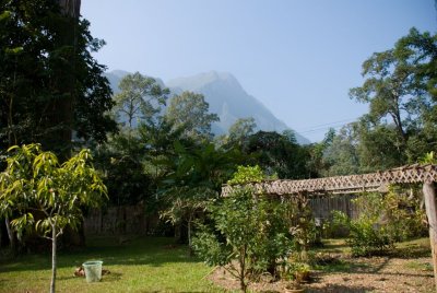 View of the mountains from the nest