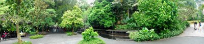 Botanical Garden Panorama