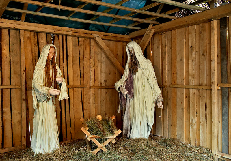 Christmas Crib At Plac Krasinskich