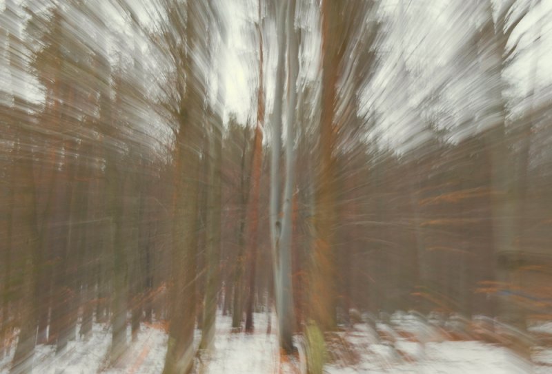 Echo