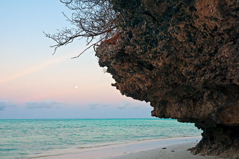 Coral Rock