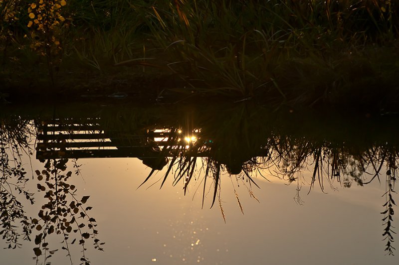 Chatting In The Sunset