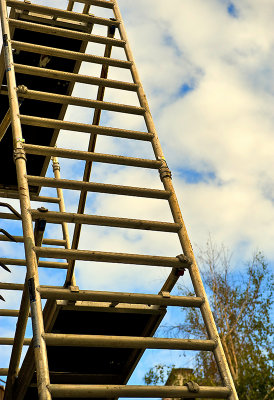 Ladder To Heaven