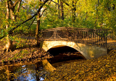 The Old Rustic Bridge