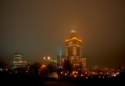 Foggy Lights Of The City