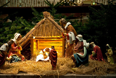 Christmas Crib At Jesuit Church