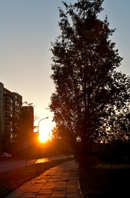 Street Sunset