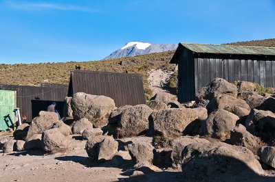 Morning View On Kilimanjaro