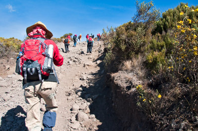 First Steps To Mawenzi Hut