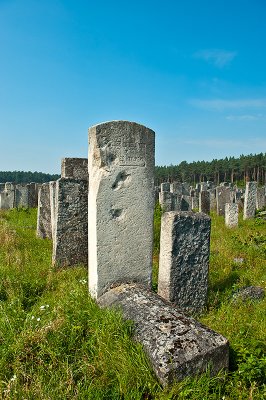 Jewish Cemetery In Brody