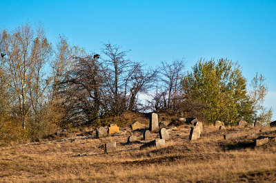 Jewish Cemetery In Karczew