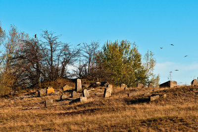 Jewish Cemetery In Karczew
