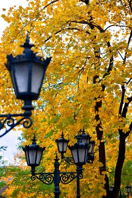 Autumn Lanterns