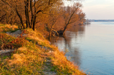 Sunny Afternoon At Wisla River