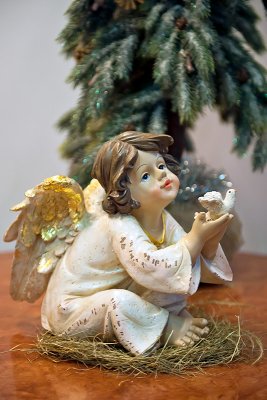 Angel With A Dove