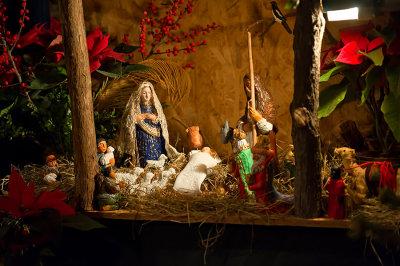 Christmas Crib At The Visitants' Church