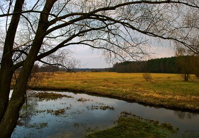 Meadows Near Ossow