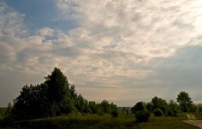 Volyn Upland Landscape