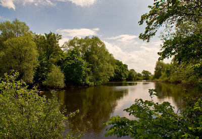 Bug River