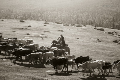 XinJiang_CandidShots02.jpg