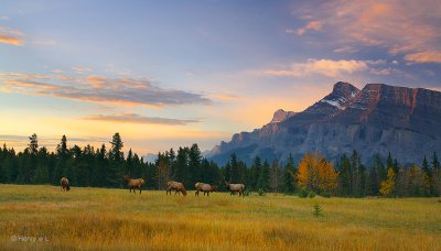 Banff Morning 01