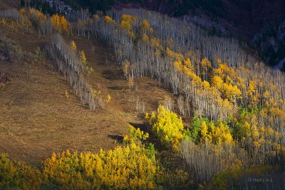 Aspen_study_06