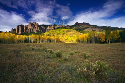 Aspen near Siver Jack