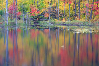 reflections.jpg