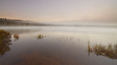 Mist on the Lake of Two Rivers 1.jpg