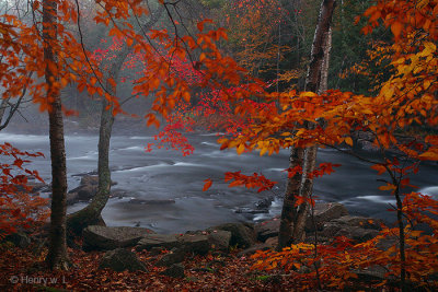 River, Mist, and the Season