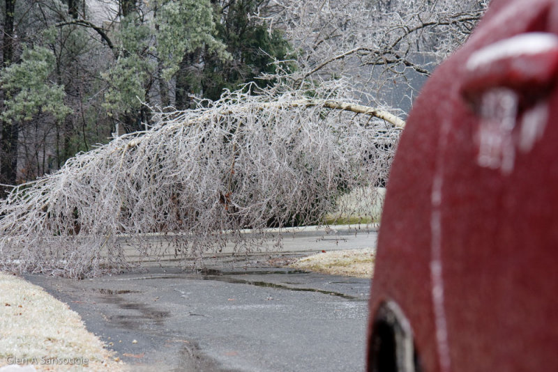IceStorm 2008