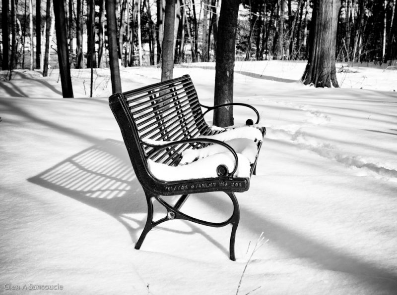 Day 012 - Winter Bench