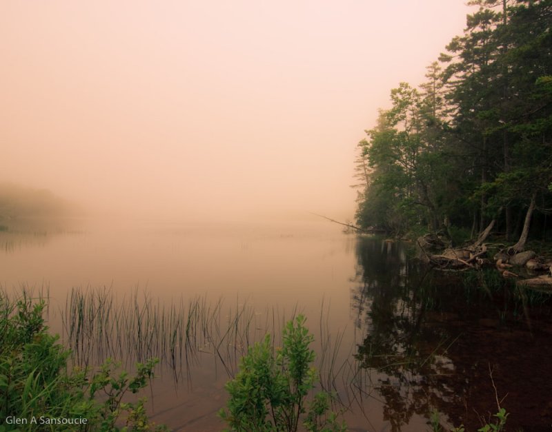Day 184 - Acadia Fog