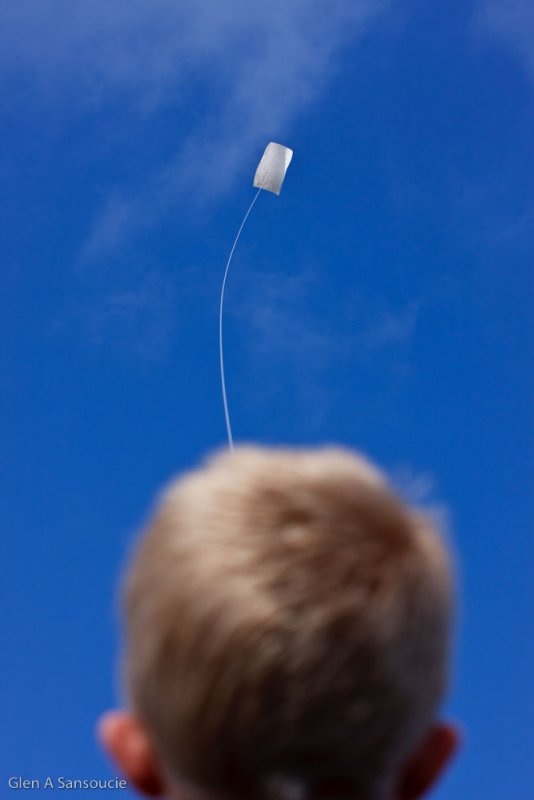 Day 185 - Fly a kite
