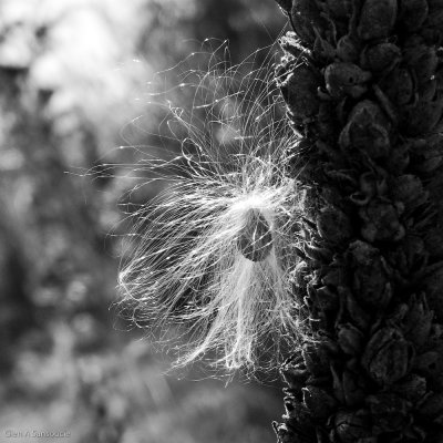 g1/62/582862/3/104276829.B35ezvop.jpg
