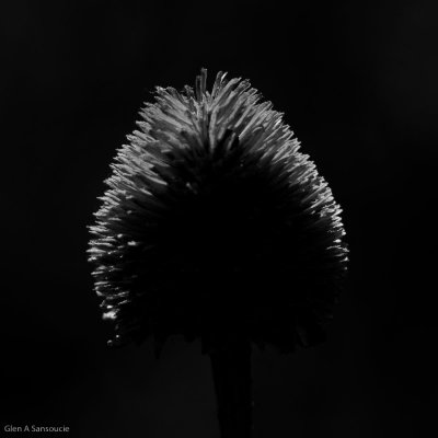g1/62/582862/3/97835822.ywlKFQ9u.jpg