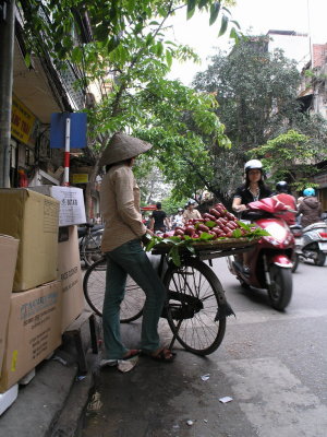 selling water apples